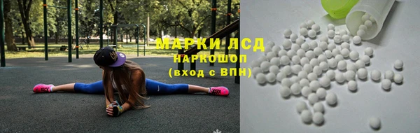 шишки Медвежьегорск