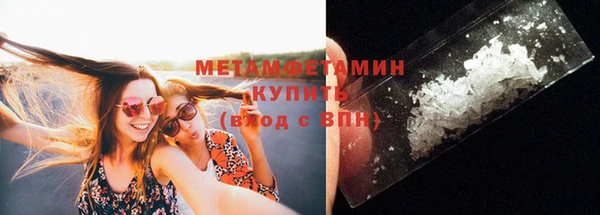 шишки Медвежьегорск