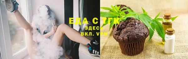 шишки Медвежьегорск