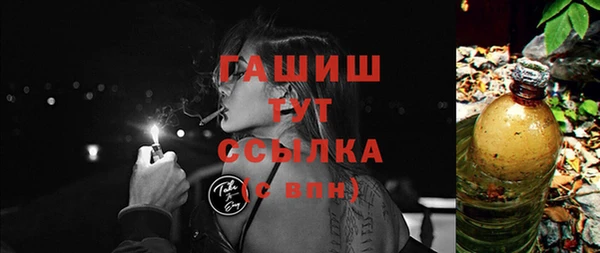 шишки Медвежьегорск