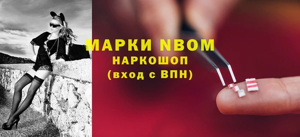 гидра Мегион