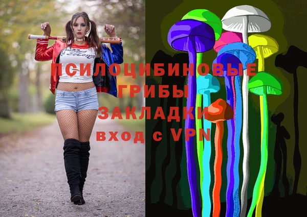гидра Мегион