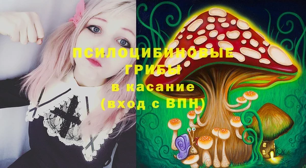 гидра Мегион