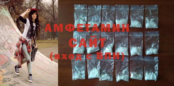 шишки Медвежьегорск