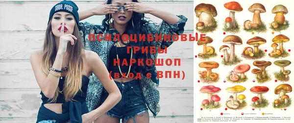 шишки Медвежьегорск