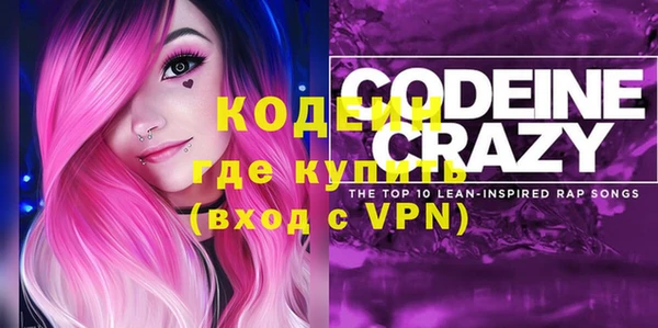 шишки Медвежьегорск