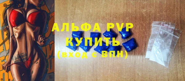 шишки Медвежьегорск