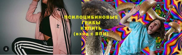 гидра Мегион