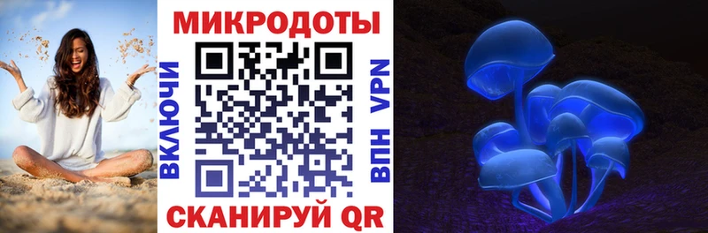 где купить наркотик  Златоуст  Галлюциногенные грибы Psilocybe 
